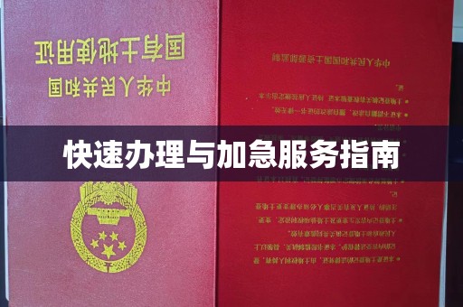 巩留快速办理与加急服务指南