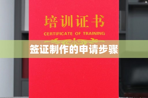 巩留签证制作的申请步骤