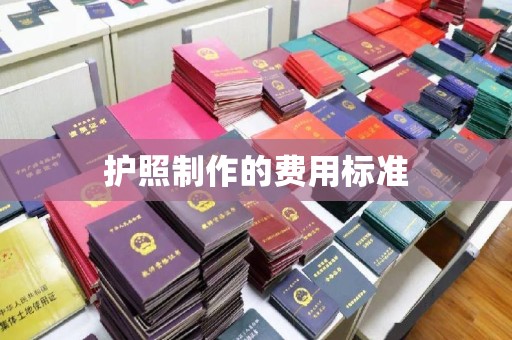 巩留护照制作的费用标准