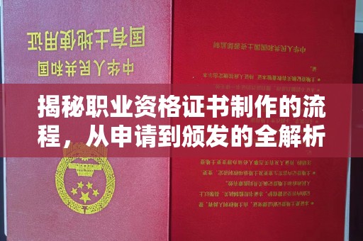 巩留揭秘职业资格证书制作的流程，从申请到颁发的全解析