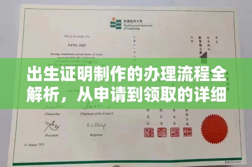 巩留出生证明制作的办理流程全解析，从申请到领取的详细指南